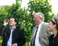 Minister A. Bonde (links), Präsident H. Hohl und Weinkönigin K. Harsch